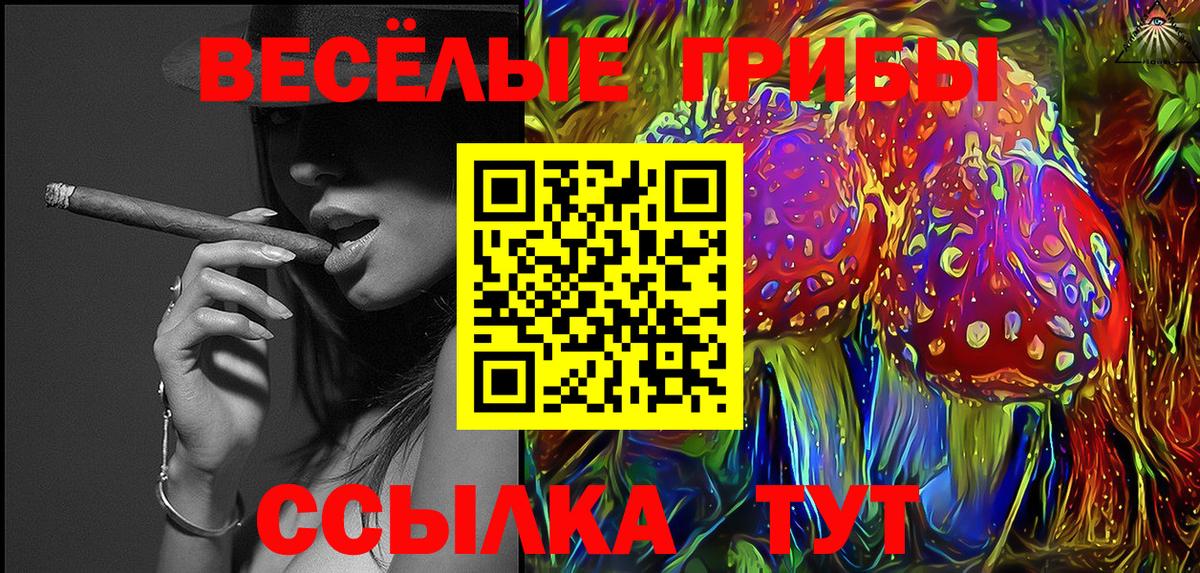 Псилоцибиновые грибы MAGIC MUSHROOMS Благовещенск