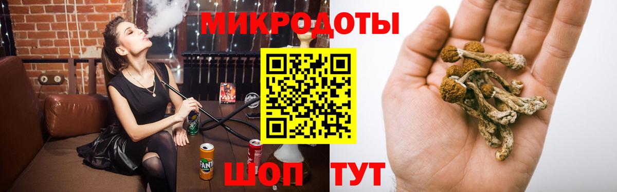 Благовещенск  Псилоцибиновые грибы Cubensis  Вход с VPN 